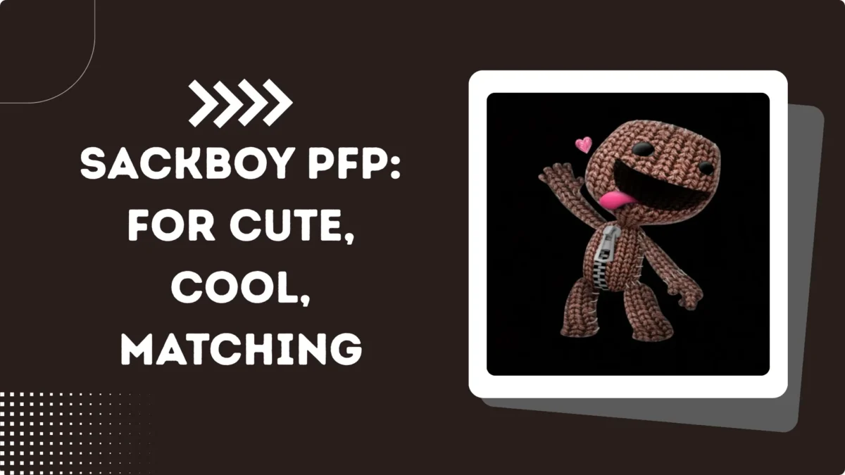 sackboy pfp: The Complete Guide to Creating the Perfect Gaming Profile Picture 1 Sackboy PFP